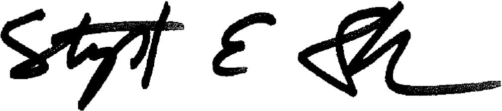 Stephen E. Sandherr signature